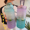 Fitness Drinking Bottle - FortitudeActivewear